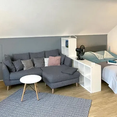 Hell Modern Gemuetlich Grosses 1 Appartement Ilvesheim